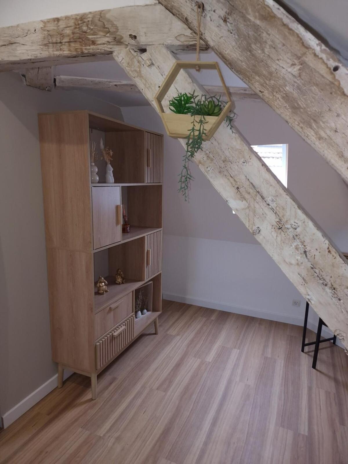 Les Combles De Colbert- Hyper Center Apartment