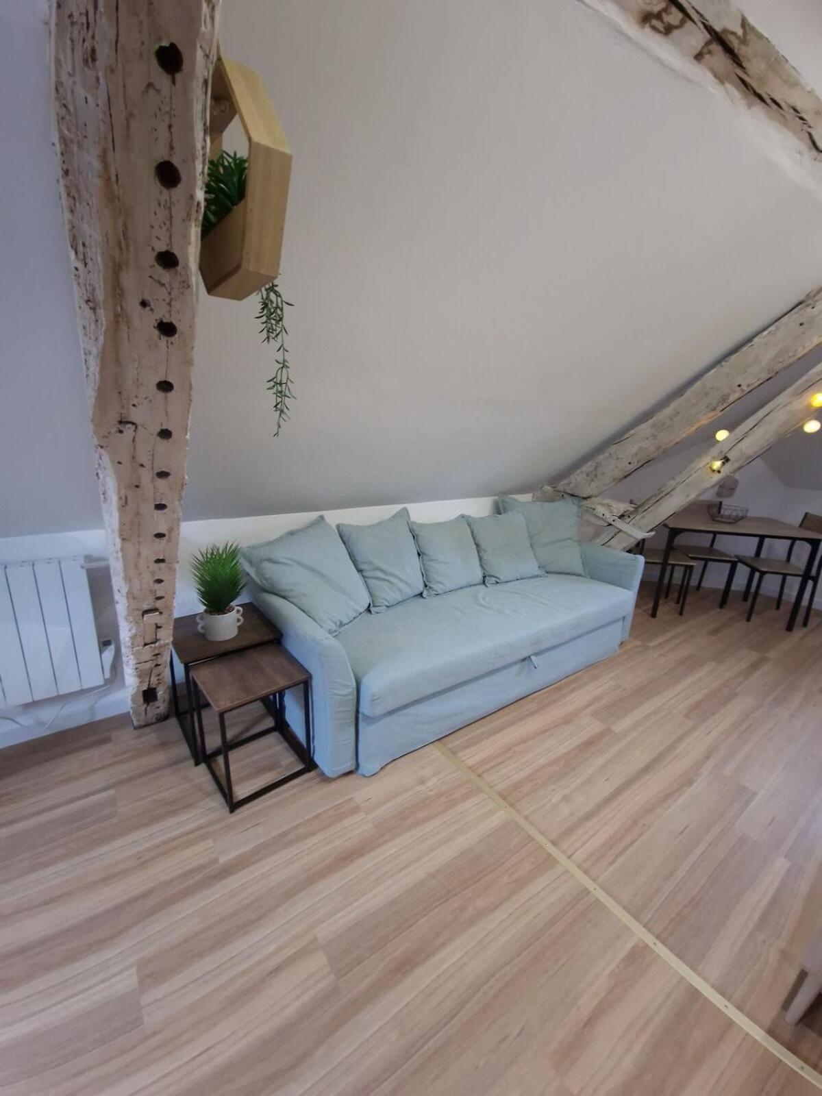 Les Combles De Colbert- Hyper Center Apartment Troyes